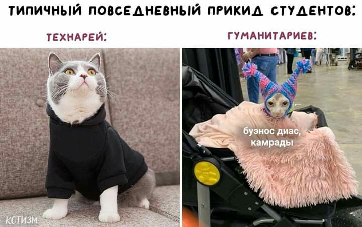 типичный повседневный пгикид стУдЕнтов ТЕХНАРЕЙ ГУНИАРИЕВЦ ди