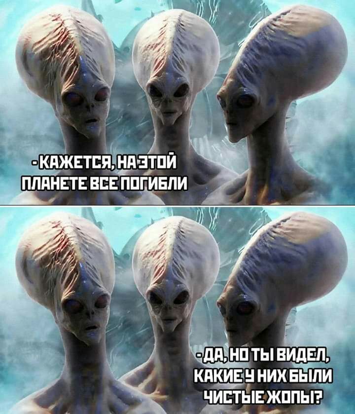 оЩніі ты видел кдкивн нихныпи _ чицтывжппыэ