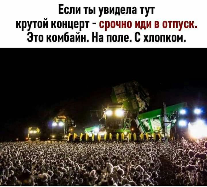 Если ты увидела тут крутой концерт срочно иди в отпуск Это комбайн На поле С хлопком