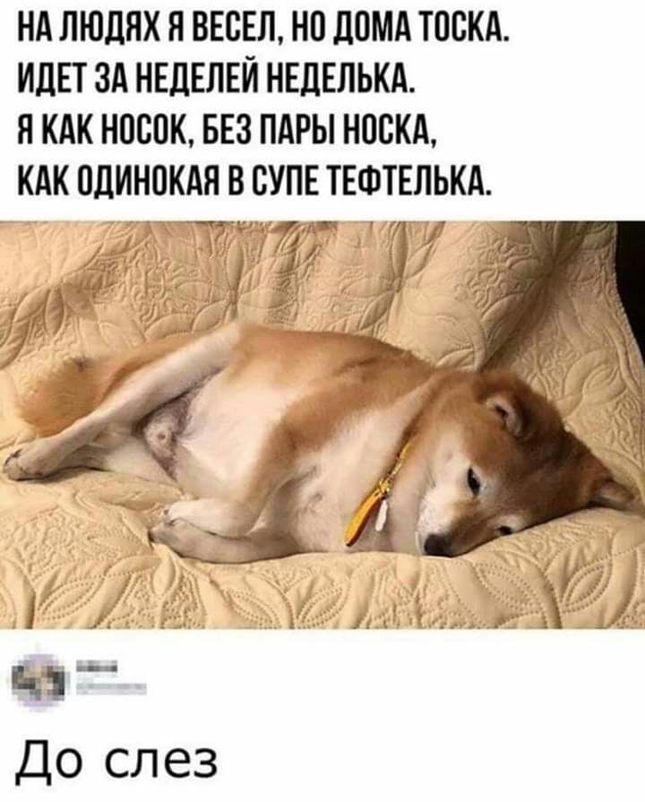 НА ЛЮДЯХ Я ВЕСЕЛ НП д0МА ТОПКА ИДЕТ ЗА НЕДЕЛЕЙ НЕЛЕЛЬКА Я КАК НШЮК БЕЗ ПАРЫ НПВКА
