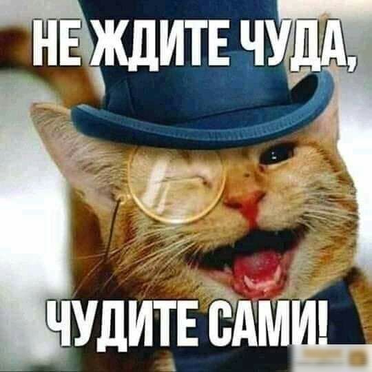 йЁждитнн _ чудитв днища