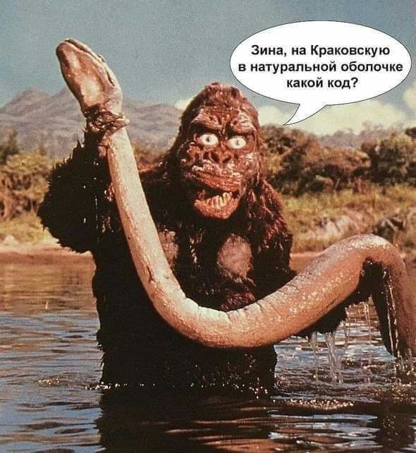_ Зина на Краковскую в натуральной оболочке1 какой код