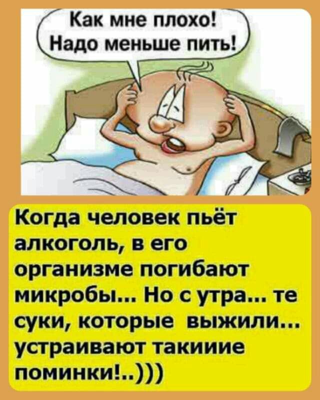 Как мне плохо Надо меньше пить Когда человек пьёт алкоголь в его организме погибают микробы Но с утра те суки которые выжили устраивают такииие поминки