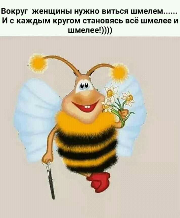 Вокруг женщины нужно виться шмелем И с каждым кругом становясь всё шмелее и шмелее