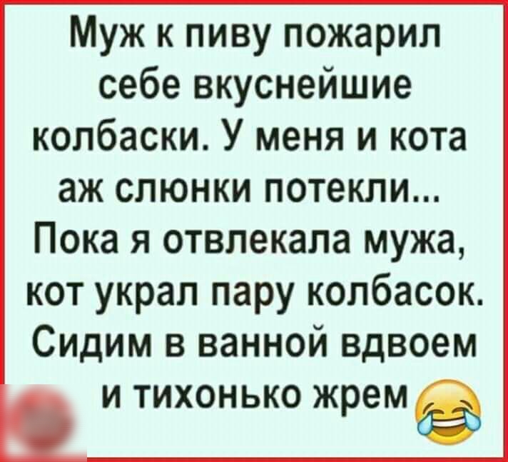 Собака предательски нагадила на паркет а робот пылесос