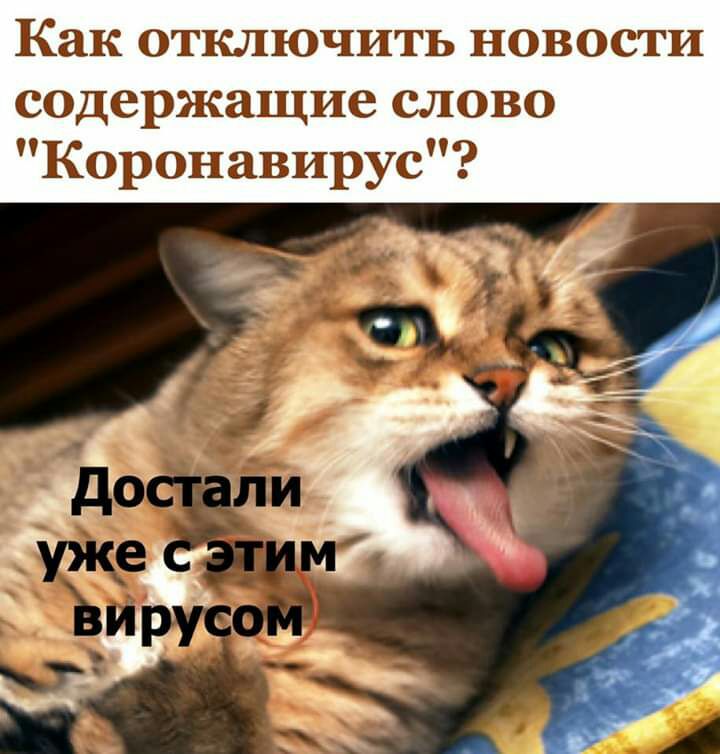 Как отключить новости содержащие слово Коронавирус