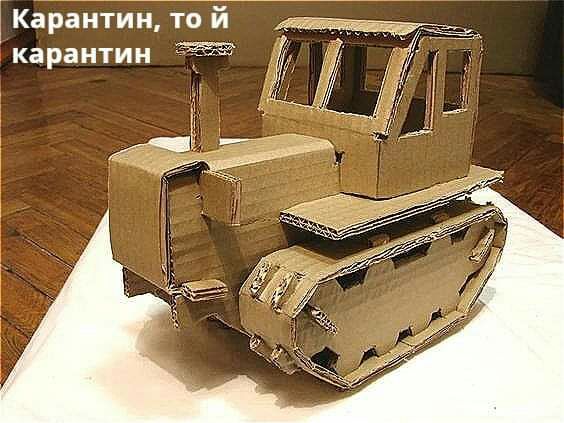 Карантин дгб Й карантин