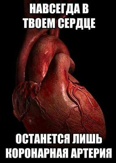 ндвецдп в твощендцъ пстдннеп лишь ипюнпгнпп линии