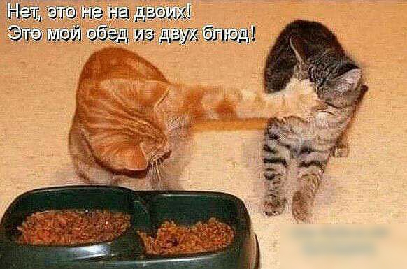 км ИЗ чп