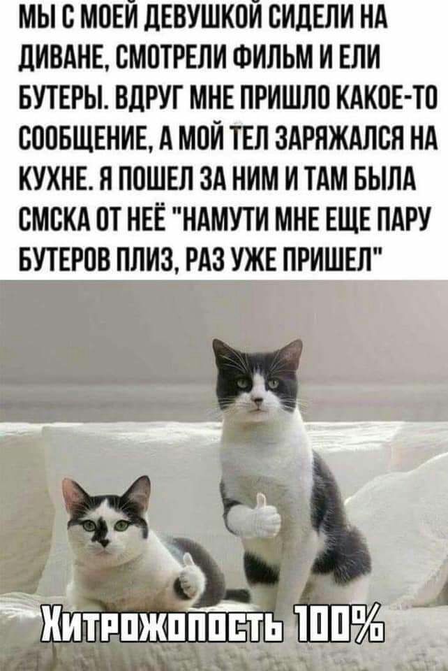 МЫ В МПЕИ ЦЕВУШКОИ ВИЛЕЛИ НА дИВАНЕ СМОТРЕЛИ ФИЛЬМ И ЕЛИ БУТЕРЫ ВЦРУГ МНЕ ПРИШЛО КАКИЕ ТО СООБЩЕНИЕ А МПИ ТЕЛ ЗАРНЖАЛЕЯ НА КУХНЕ Я ПОШЕЛ ЗА НИМ И ТАМ БЫЛА ВМВКА ПТ НЕЁ НАМУТИ МНЕ ЕЩЕ ПАРУ БУТЕРОВ ПЛИЗ РАЗ УЖЕ ПРИШЕЛ