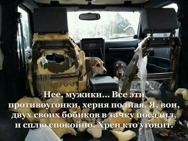 _ Нее мужики Вёе 511 пративоугонки херня поёт _ двух своих бобиков драку и и сил пок__дд ревёт че