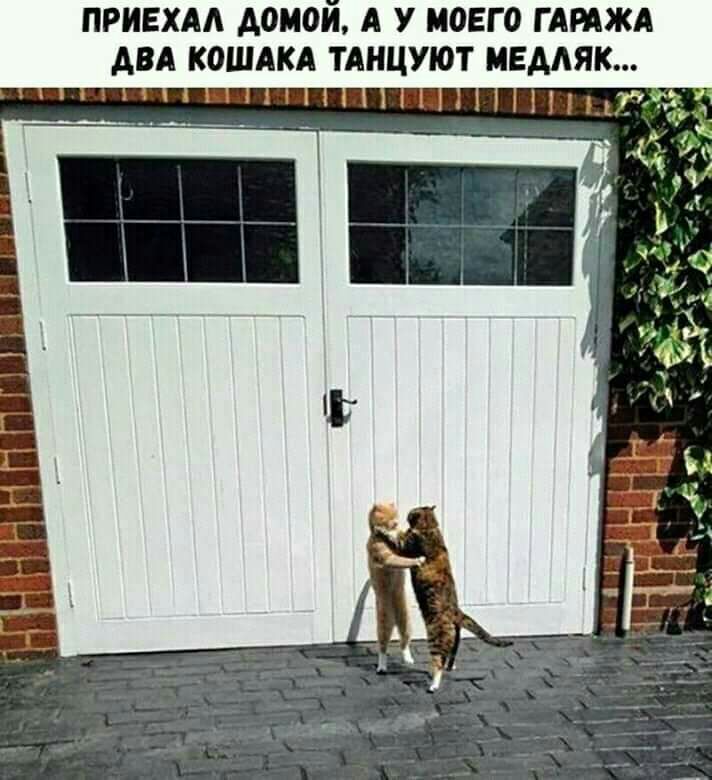 ПРИЕХАА А0И0Й А У МОЕГО Г АМЖА АВА КОШАКА ТАНЦУЮТ МЕМЯК