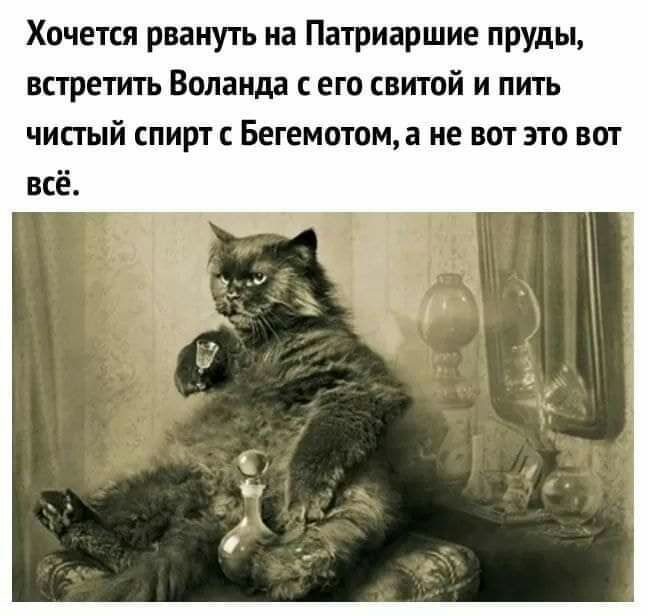 Хочется рвануть на Патриаршие пруды встретить Воланда с его свитой и пить чистый спирт с Бегемотом а не вот это вот всё