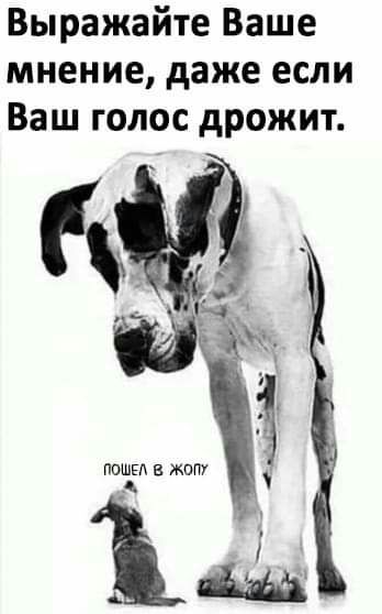 Выражайте Ваше мнение даже если Ваш голос дрожит