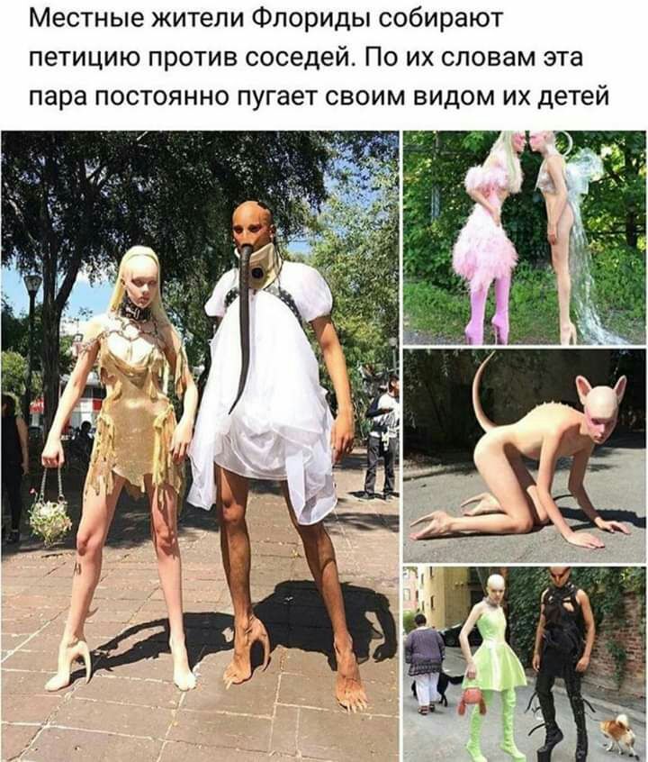 Местные жители Флориды собирают петицию против соседей По их словам эта пара постоянно пугает своим видом их детей
