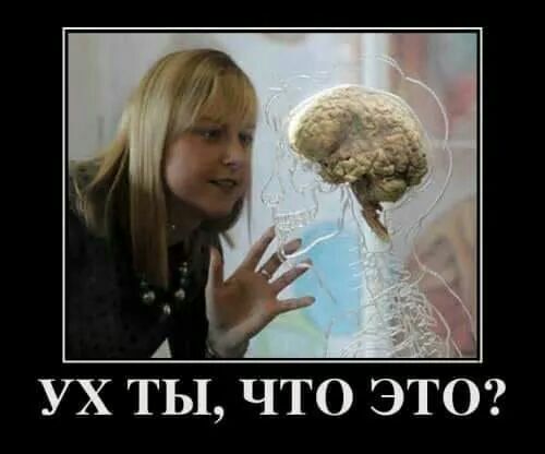 УХ ТЫ ЧТО ЭТО