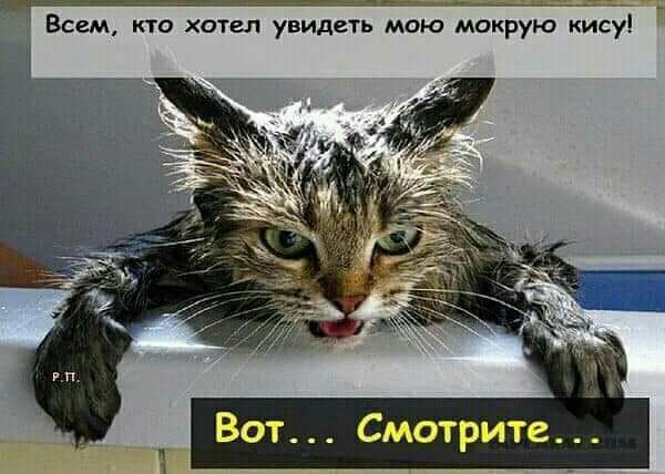 Всем кто хотел увидеть мою мокрую кисугі