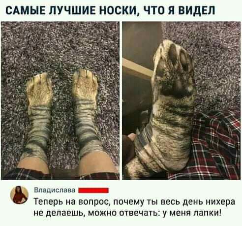САМЫЕ ЛУЧШИЕ НОСКИ ЧТО Я ВИДЕЛ Владислава _ Теперь на вопроспочему ты весь день нихера не делаешь можна птвечнть у меня папки