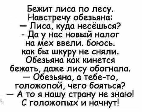 Бежит лиса по лесу Навстречу обезьяна Лиса куда несёшься Да у нас новый налог на мех ввели боюсь как бы шкуру не сняли Обезьяна как кинется бежать даже лису обогнала Обезьяна а тебето голожопой чего бояться А то я нашу страну не знию С гопожопых и начнут