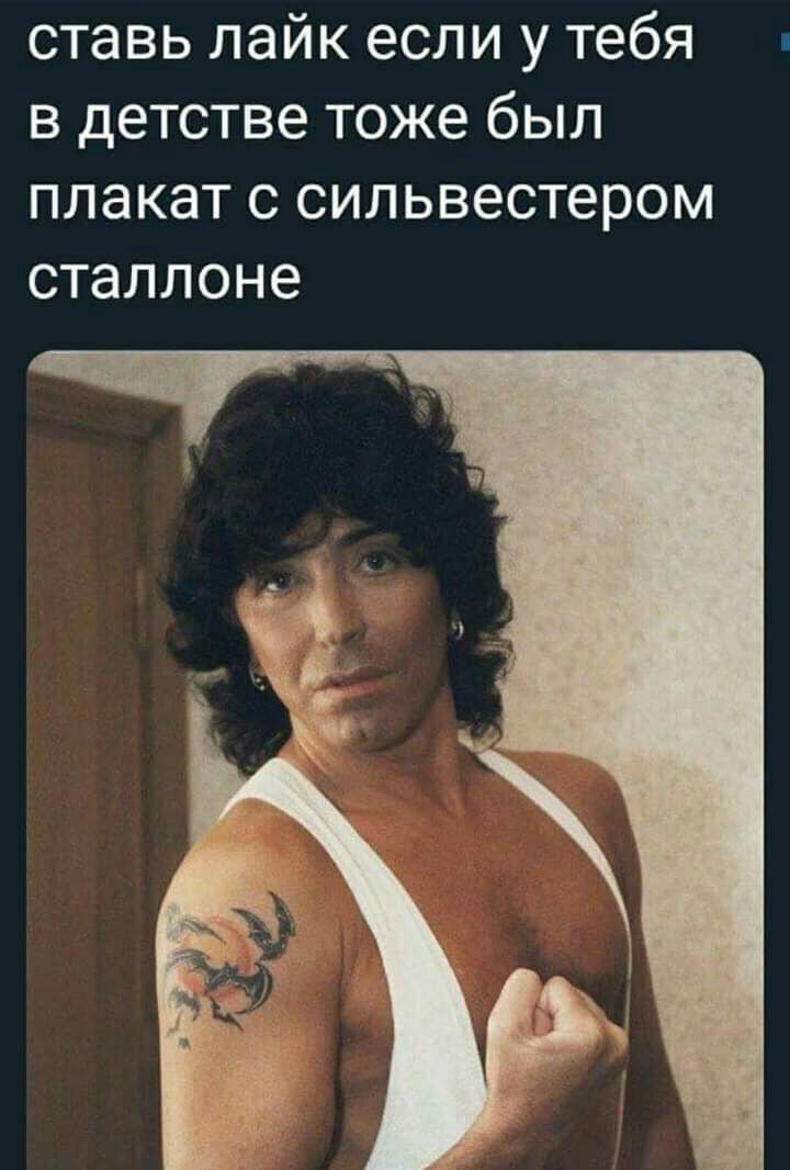 ставь лайк если у тебя в детстве тоже был ПЛЗКЭТ С сильвестером сталлоне
