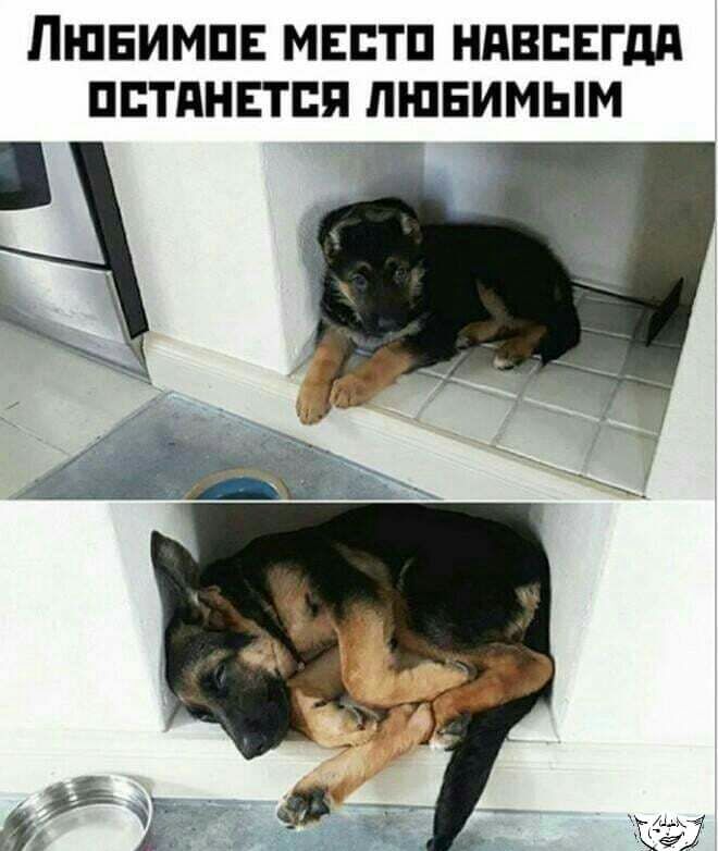 ПШЕИМПЕ МЕЕТП НАВСЕГДА ПЕТПНЕТБП ЛЮБИМЫМ