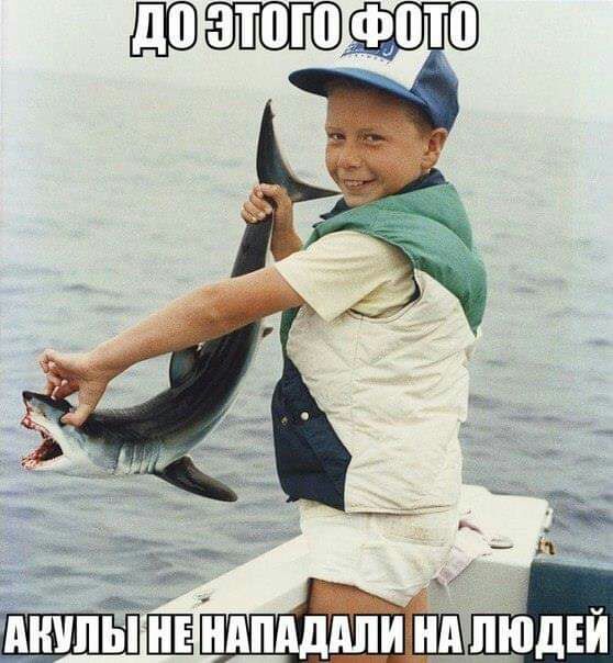 дпддппи