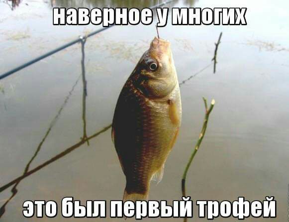 это был пепвый тпошей