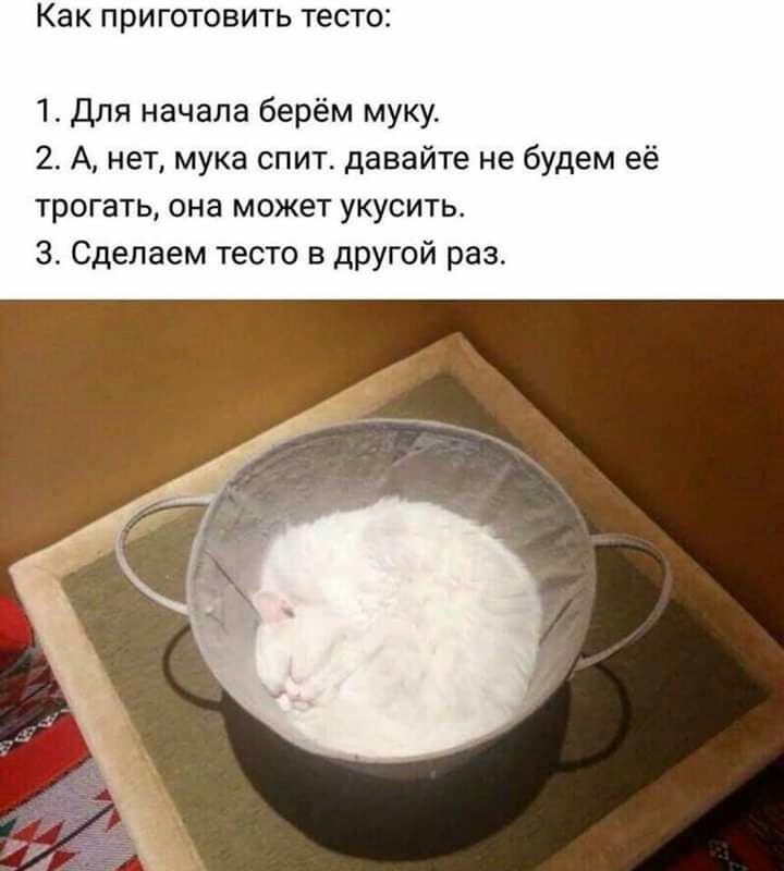 Как ПРИГ ТОВИТЬ тесто 1 Для начала берём муку 2 А нет мука спит давайте не будем её трогать она может укусить 3 Сделаем тесто в другой раз