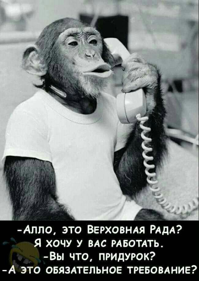 АЛПО ЭТО ВЕРХОВНАЯ РАДА Я ХОЧУ У ВАС РАБОТАТЬ ВЫ ЧТО ПРИДУРОК А ЭТО ОБЯЗАТЕЛЬНОЕ ТРЕБОВАНИЕ