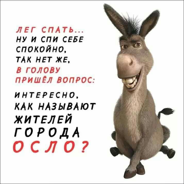 ЛЕГ СПАТЬ НУ И СПИ СЕБЕ СПОКОЙНО ТАК НЕТ ЖЕ В ГОЛОВУ ПРИШЕЛ ВОПРОС интересно КАК НАЗЫВАЮТ ЖИТЕЛЕЙ Г 0 Р ОД А ОСЛО