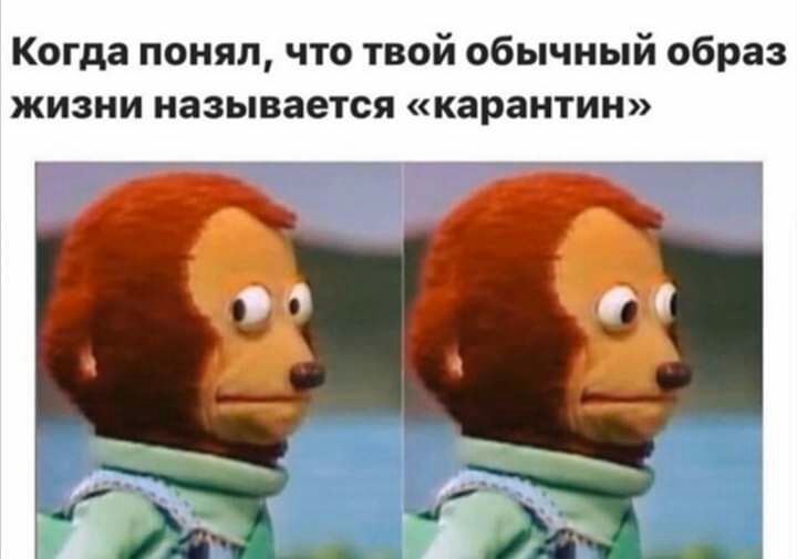 Когда понял что твой обычный образ жизни называется карантин