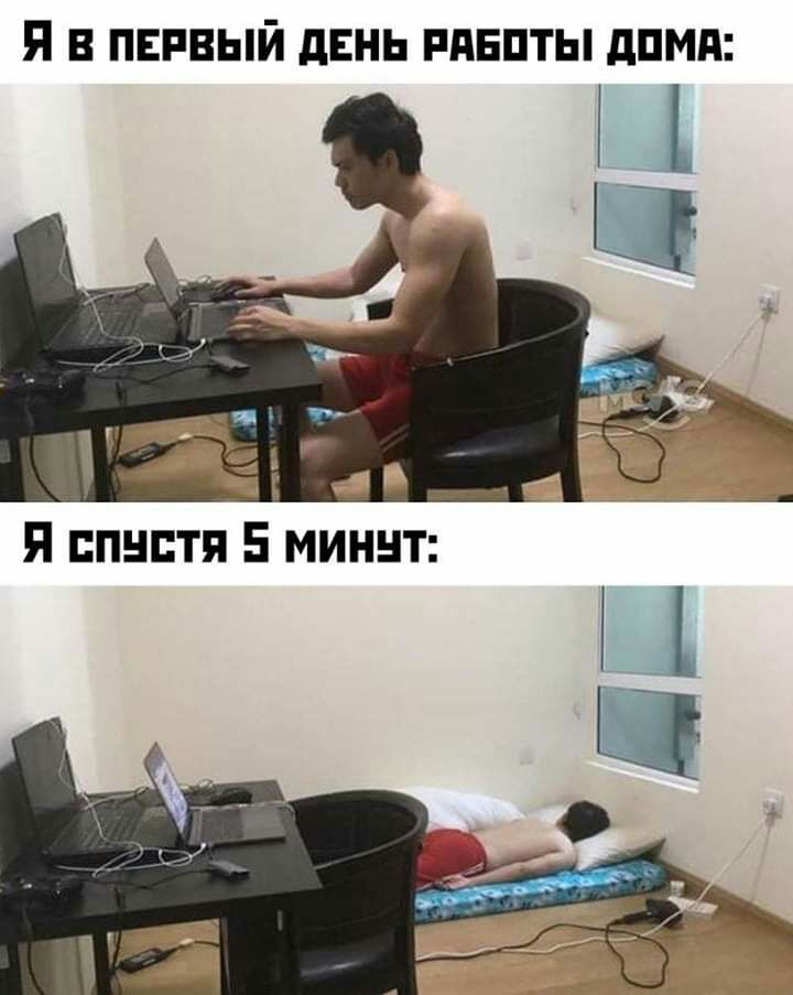 Я в первый двнь пдвпты дпмд