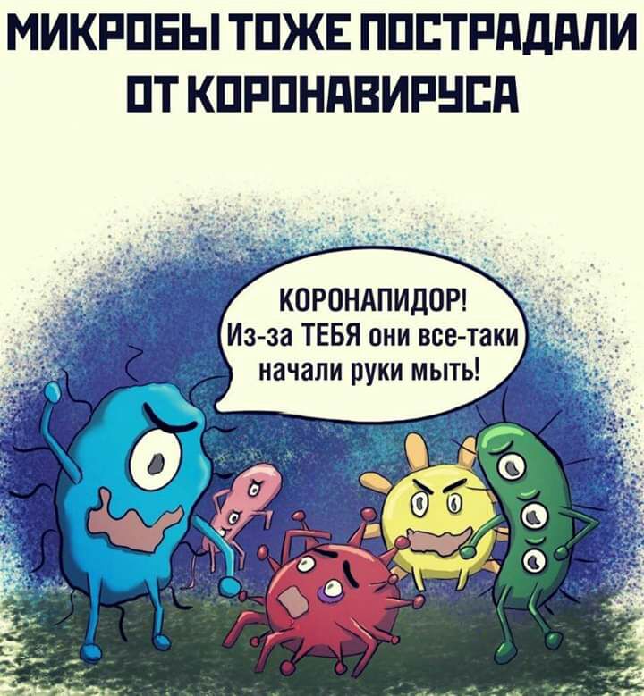 МИКРПЕЫ ТПЖЕ ППЕТРдддЛИ ПТКПРПНПВИРНЕП корондпидои Из за ТЕБЯ они все таки начали руки мыть