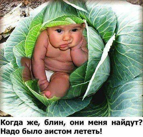Когда же блин они меня найдут Надо было аистом лететь