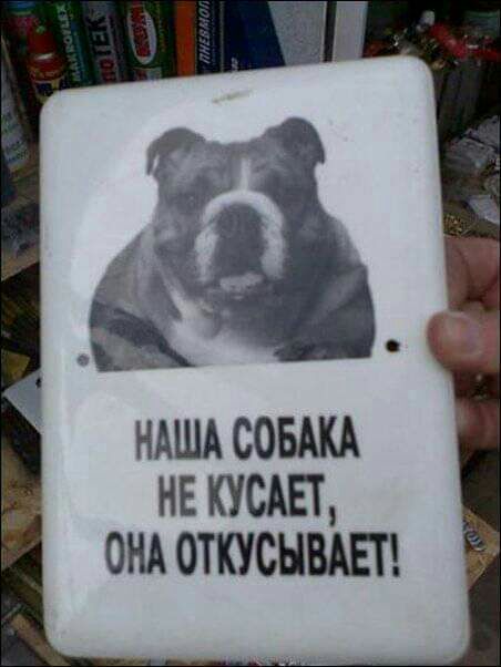 ндшд совш не куст омоткуснвш