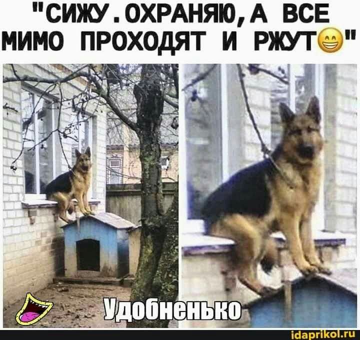 СИЖУ ОХРАНЯО А ВСЕ МИМО ПРОХОДЯТ И РЖУТ