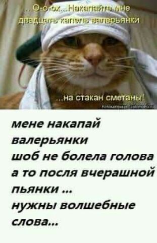 на стакан сметаны мене накалай валерьянки шоб не болела голова в то ловля вчерашний пьянки нужны волшебные слова