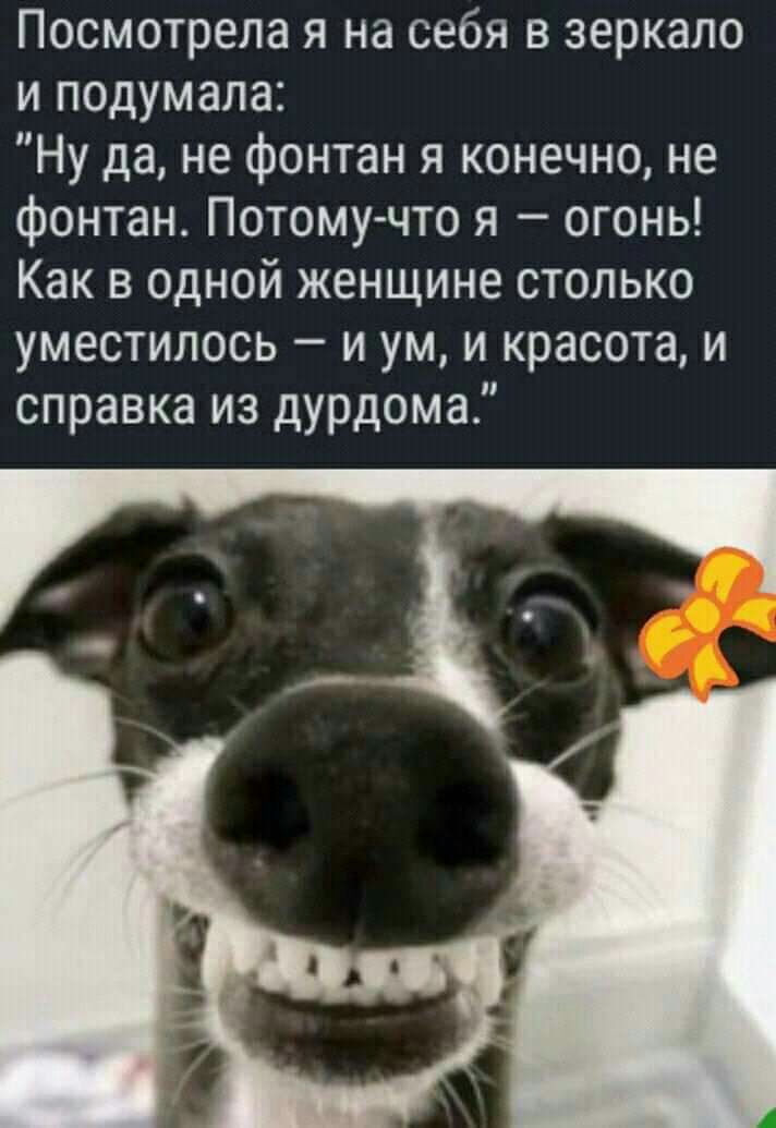 Посмотрела я на себя в зеркало и подумала Ну да не фонтан я конечно не фонтан Потому что я огонь Как в одной женщине столько уместилось и ум и красота и справка из дурдома