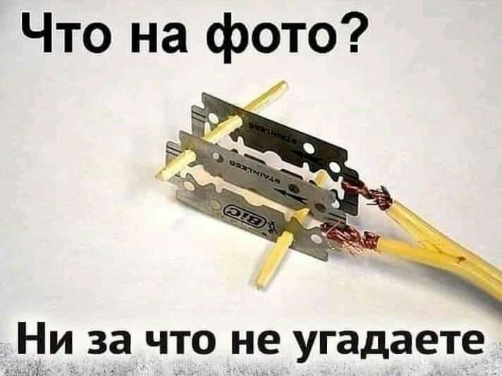 Что на фото _ __и_ за что не угадаете