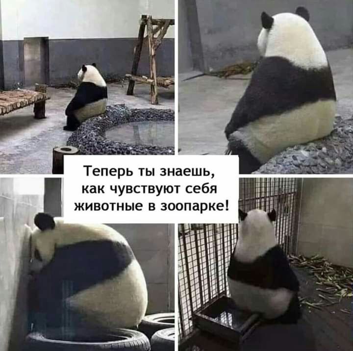 Теперь ТЫ знаешь как чувствуют себя животные в зоопарке