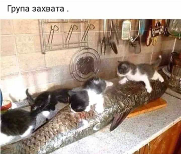 Група захвата