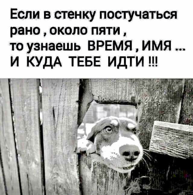 Если в стенку постучаться рано около пяти то узнаешь ВРЕМЯ ИМЯ И КУДА ТЕБЕ ИдТИ _ ___