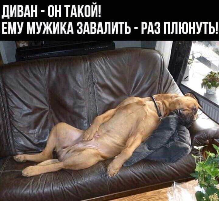 ЛИВАН ОН ТАКЦЙ ЕМУ МУЖИКА ЗАВАЛИТЕ РАЗ ПЛЮНУТЬ