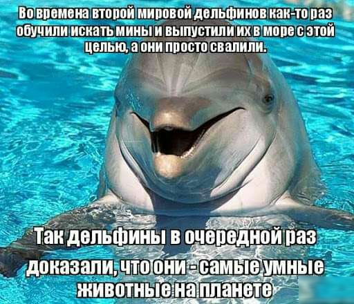 ПЁВММВИВ ВТПМИУМИПФВПЙАВПБФИМШИВИ Чата ПШЧИПИ искать ИИНЫ И Н_ЫПУБТИПИ ИХ В ИМПБ В ВИ ЦЁЛЬЩ в ПИИ ПМП ЕВЁЙИЛИ