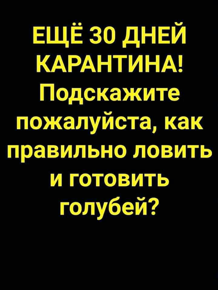 ЕЩЁ зо днвй КАРАНТИНА Подскажите пожалуйста как правильно ловить и готовить голубей