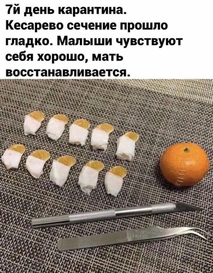 7й день карантина Кесарево сечение прошло гладко Малыши чувствуют себя хорошо мать вотссанавпивается