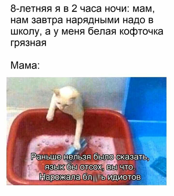 8 петняя я в 2 часа ночи мам нам завтра нарядными надо в школу а у меня белая кофточка грязная Мама РаньшедЁельзя бЫло сказать 41 яз абік тсох вы что Ыарож жалатбл ь идиотов