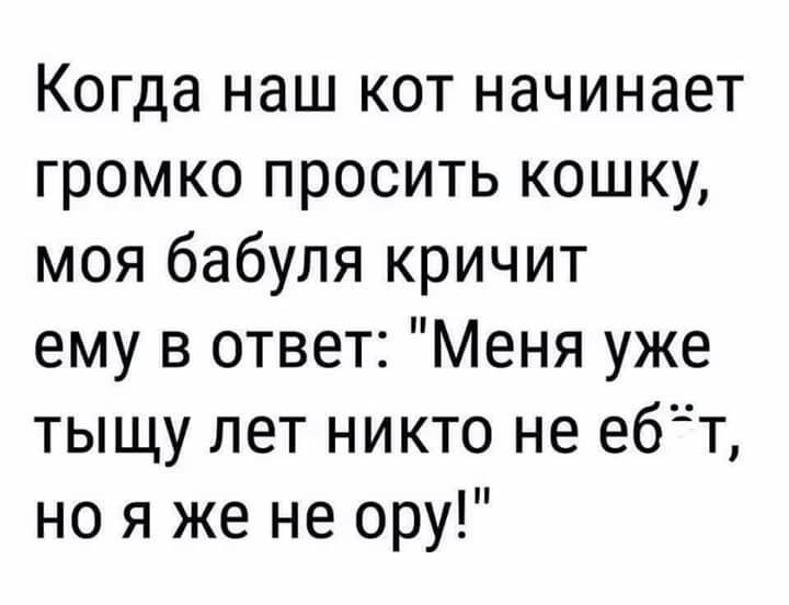 Когда наш кот начинает громко просить кошку моя бабуля кричит ему в ответ Меня уже тыщу лет никто не ебт но я же не ору