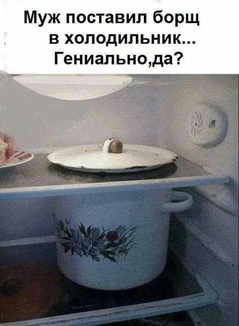 Муж поставил борщ в холодильник Гениальнода