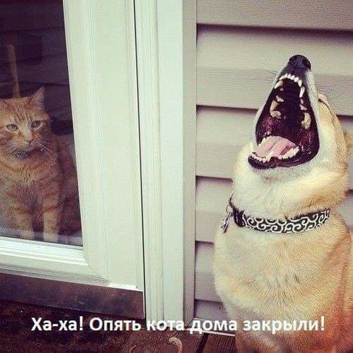 Ха ха Опять